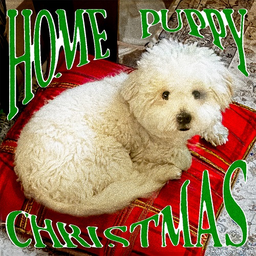 241223_HIHEE_Puppy, Home, Christmas_cover500.jpg