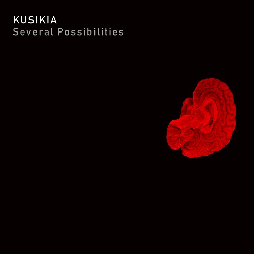 Kusikia_Several Possibilities_cover.jpg5.jpg